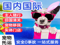 泉州晋江机场快运国际宠物托运 【国
